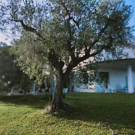 Villa Margherita Сан-Джованни-Театино Экстерьер фото