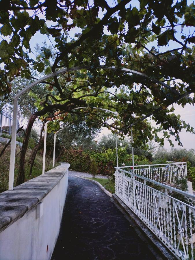 Villa Margherita Сан-Джованни-Театино Экстерьер фото